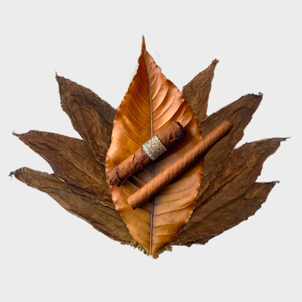 Plan de travail 8E-liquides_S