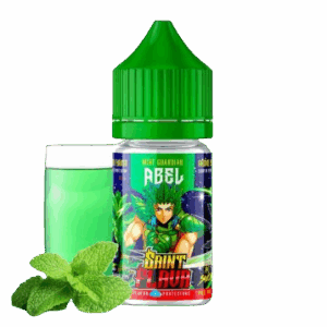 ABEL - 30ML - SAINT FLAVA - SWOKE