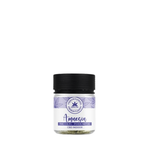 Fleur CBD Amnesia Hempline aux arômes d'agrumes et boisés