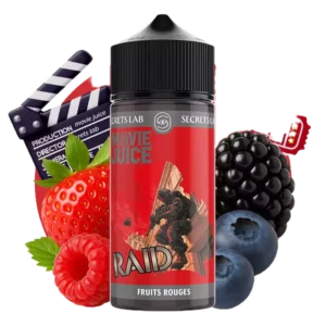 RAID - 100ML - MOVIES JUICE