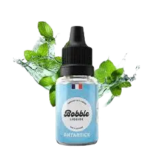 MENTHE ANTARTICK - 03MG - BOBBLE